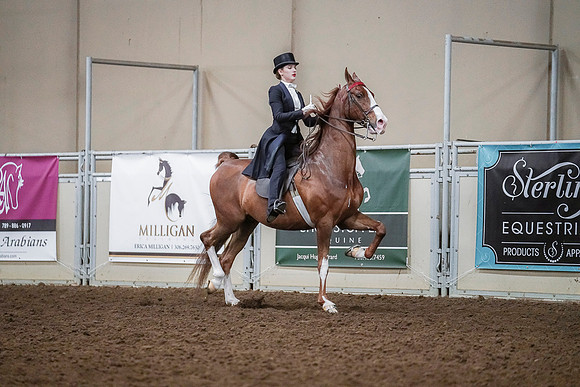 Spring Fling - Saturday - April 20, 2019  -  04223