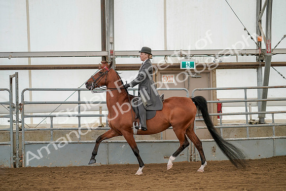 July 20, 2019 - 02049
