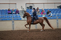 2019 Morgan Horse Show - Aug 30, 2019 - 26772