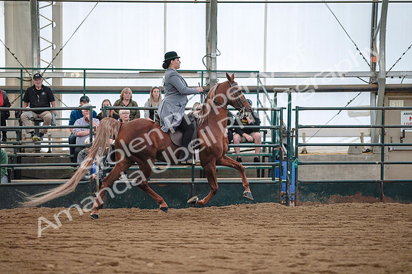 July 20, 2019 - 17167