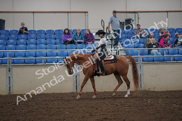 2019 Morgan Horse Show - Aug 30, 2019 - 26021