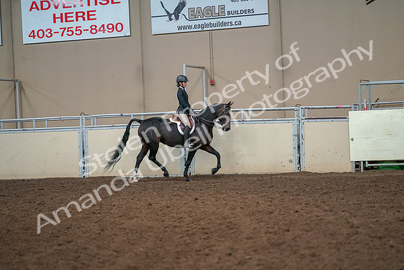 2019 Morgan Horse Show - Aug 30, 2019 - 12349