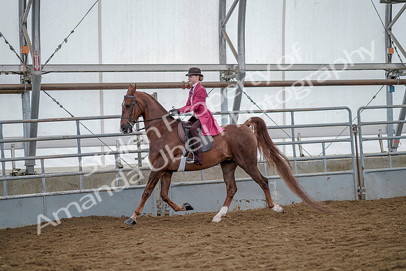 July 20, 2019 - 14493