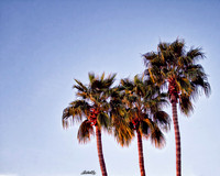 Landscapes - US - 016
