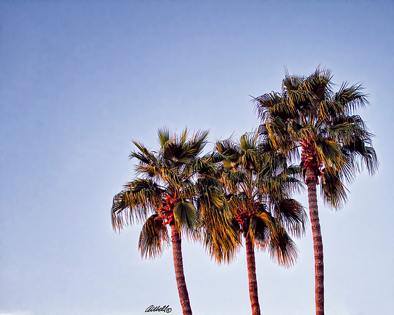 Landscapes - US - 016