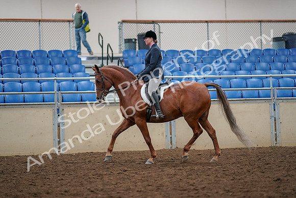 2019 Morgan Horse Show - Aug 30, 2019 - 22217