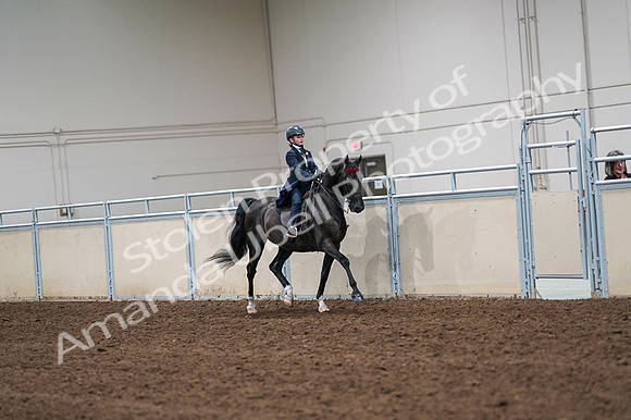 2020 - AB Morgan Horse - Fri, Sept 04 - 03116
