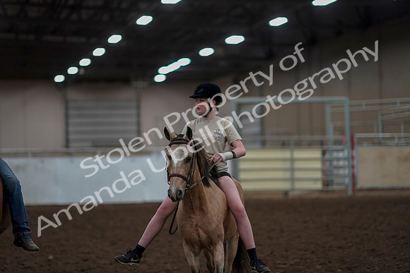 2019 Morgan Horse Show - Aug 30, 2019 - 31024