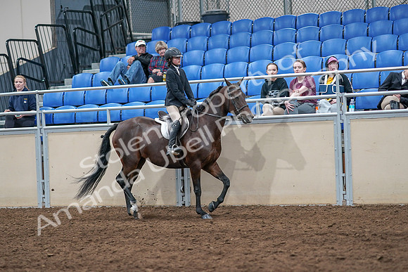 2020 - AB Morgan Horse - Sat, Sept 05 - 05127