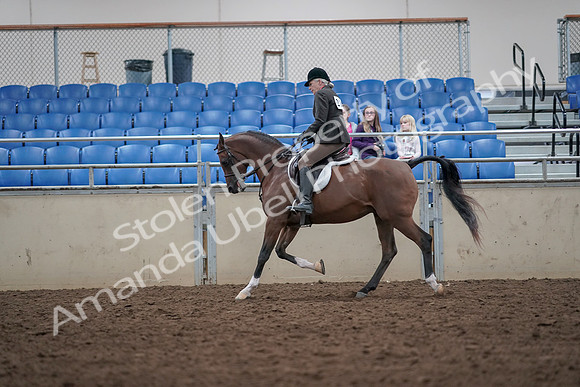 2019 Morgan Horse Show - Aug 31, 2019 - 15917