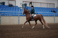 2019 Morgan Horse Show - Sept 01, 2019 - 12171