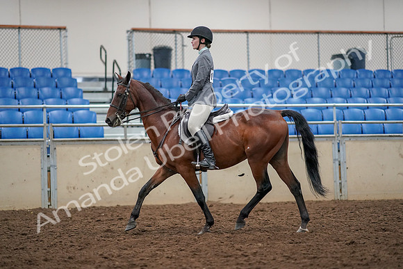 2019 Morgan Horse Show - Aug 30, 2019 - 23204