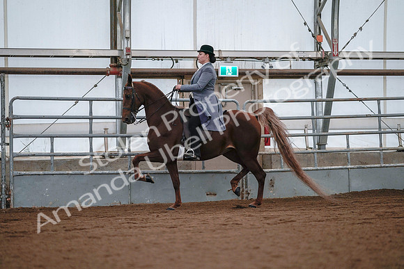 July 20, 2019 - 17073