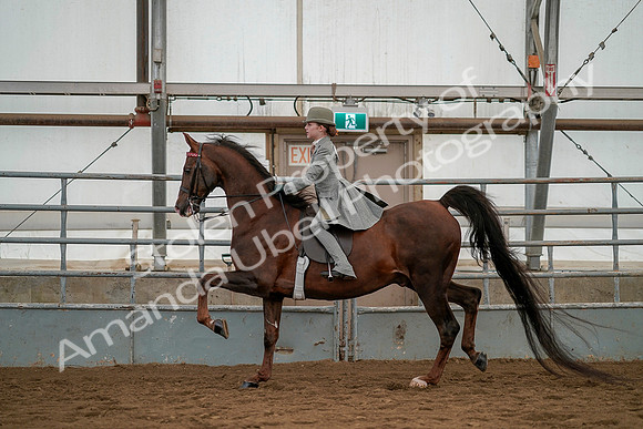July 19, 2019 - 3993