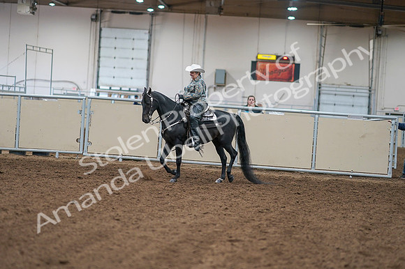 2020 - AB Morgan Horse - Fri, Sept 04 - 03491