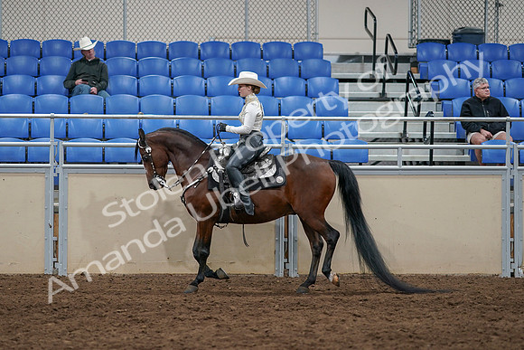 2020 - AB Morgan Horse - Sun, Sept 06 - 07570