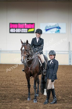 2020 - AB Morgan Horse - Fri, Sept 04 - 02207