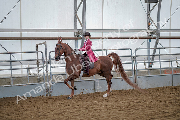 July 20, 2019 - 14489
