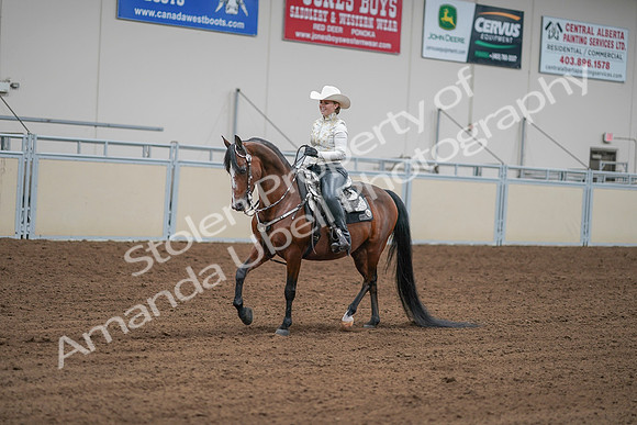 2020 - AB Morgan Horse - Sat, Sept 05 - 09025