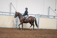 2020 - AB Morgan Horse - Sat, Sept 05 - 04969