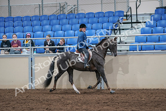 2020 - AB Morgan Horse - Sat, Sept 05 - 05218