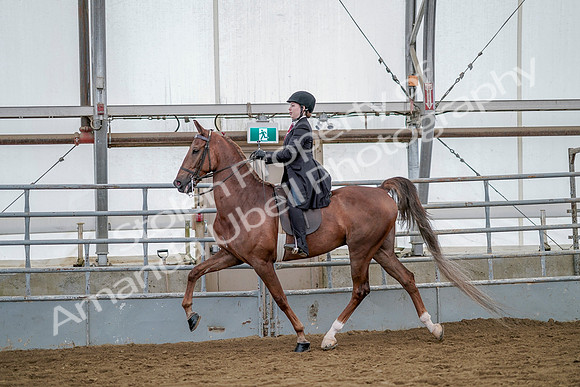 July 20, 2019 - 14623