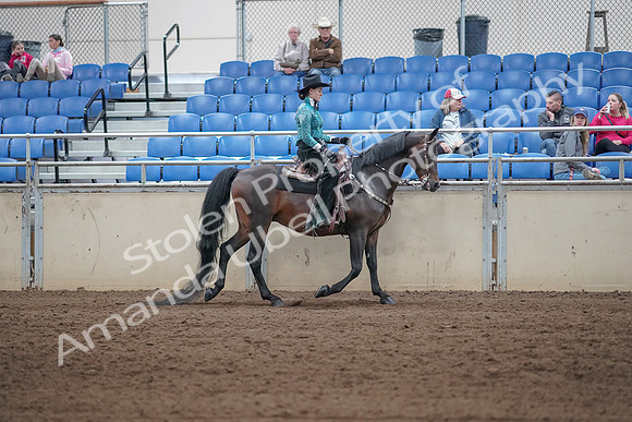 2019 Morgan Horse Show - Sept 01, 2019 - 07114