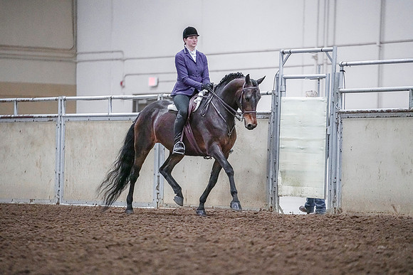 Spring Fling - Saturday - April 20, 2019  -  03823