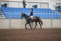 2019 Morgan Horse Show - Sept 01, 2019 - 03655