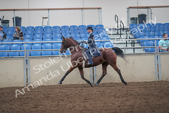 2019 Morgan Horse Show - Aug 31, 2019 - 08721