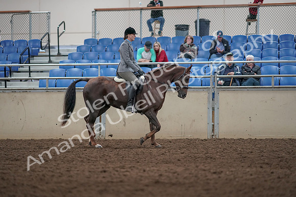 2019 Morgan Horse Show - Aug 31, 2019 - 07431