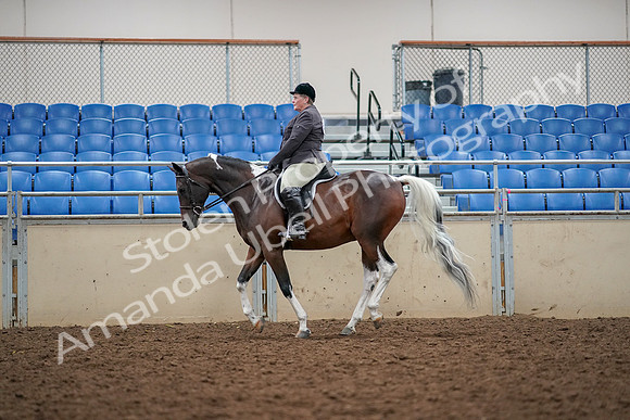 2019 Morgan Horse Show - Aug 30, 2019 - 22334