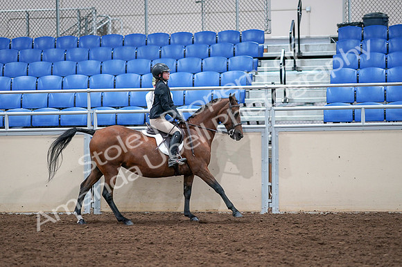 2020 - AB Morgan Horse - Fri, Sept 04 - 02133