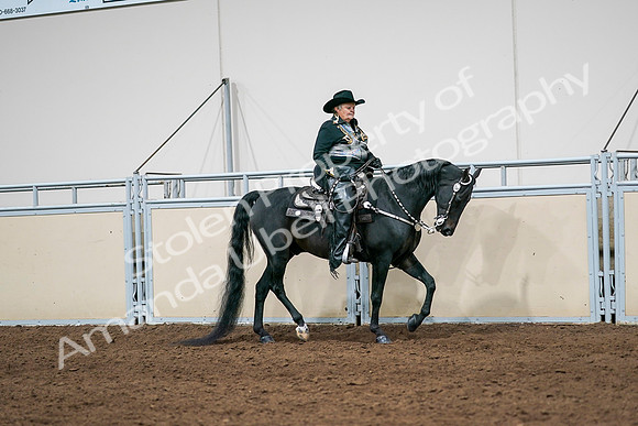 2020 - AB Morgan Horse - Sat, Sept 05 - 08938