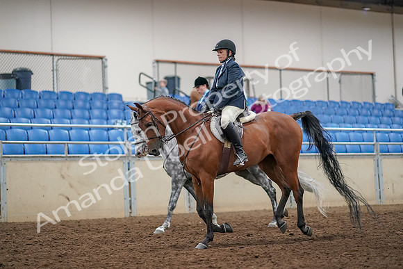 2019 Morgan Horse Show - Aug 30, 2019 - 22447