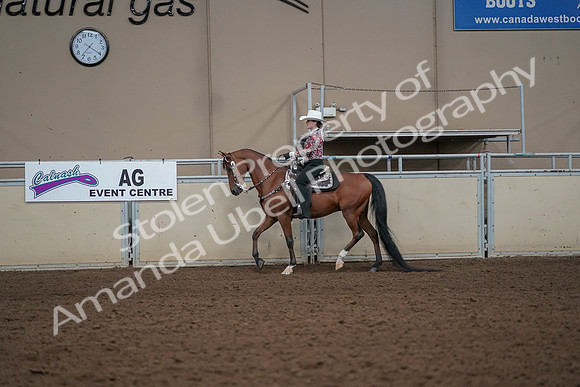 2019 Morgan Horse Show - Aug 30, 2019 - 25995