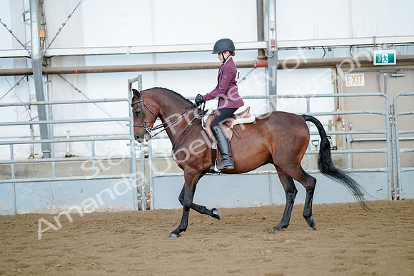 July 21, 2019 - 03264