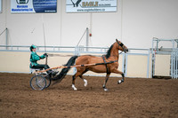 2020 - AB Morgan Horse - Sat, Sept 05 - 12454
