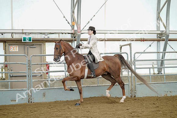 July 20, 2019 - 07666