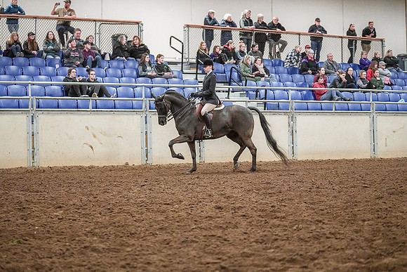 Spring Fling - Saturday - April 20, 2019  -  04521