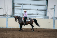 2020 - AB Morgan Horse - Fri, Sept 04 - 00537
