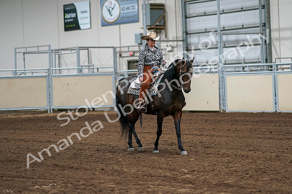 2020 - AB Morgan Horse - Fri, Sept 04 - 00299