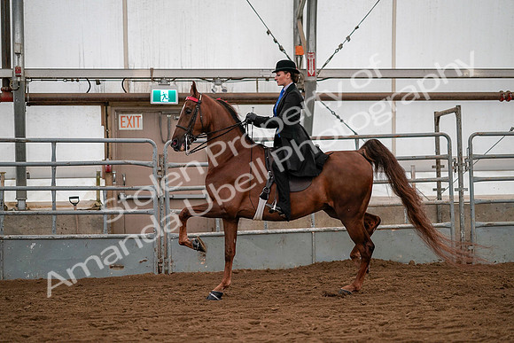 July 19, 2019 - 10313