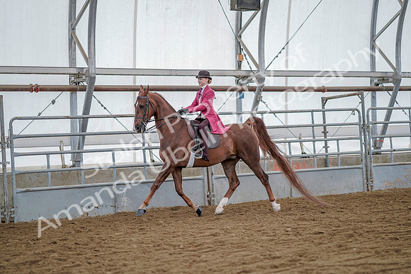 July 20, 2019 - 14481