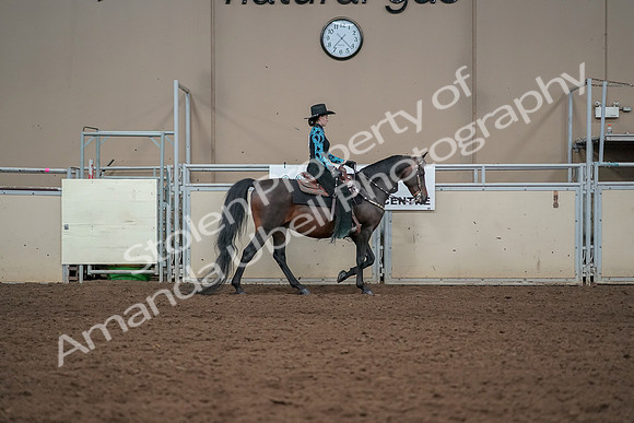 2019 Morgan Horse Show - Aug 30, 2019 - 26133