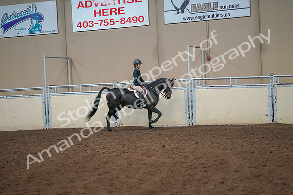 2019 Morgan Horse Show - Aug 30, 2019 - 12347