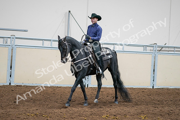 2020 - AB Morgan Horse - Sun, Sept 06 - 07597
