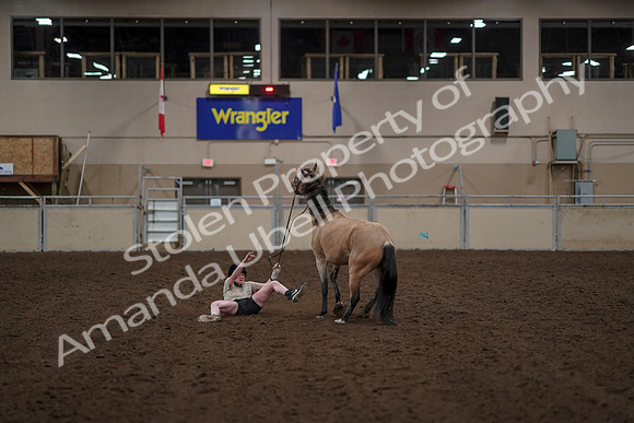 2019 Morgan Horse Show - Aug 30, 2019 - 31273