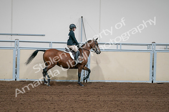 2020 - AB Morgan Horse - Fri, Sept 04 - 02143
