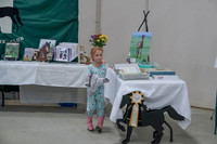 2019 Morgan Horse Show - Sept 01, 2019 - 05889